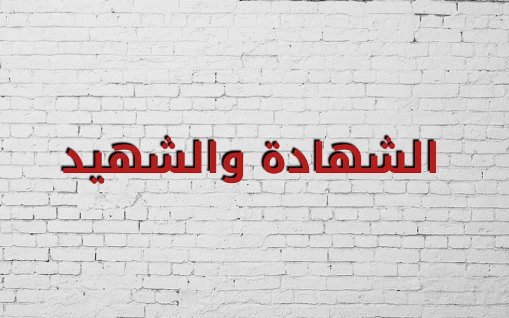 الشهادة والشهيد